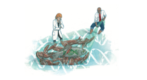 Illustratie (kleur) artsen vissen naar DNA